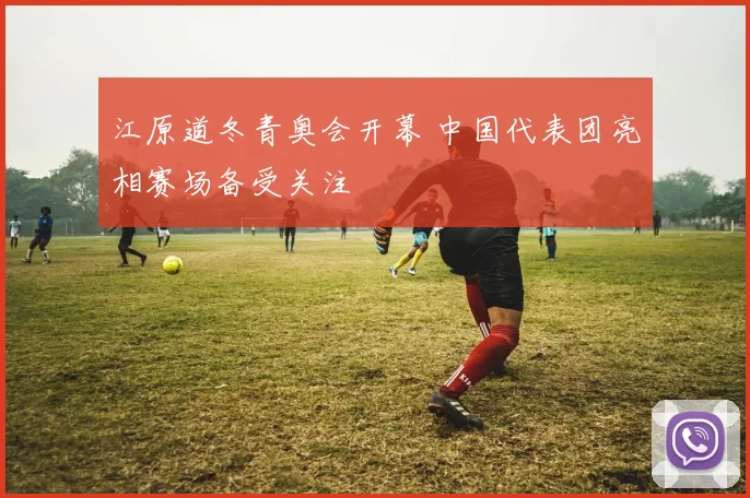 江原道冬青奥会开幕 中国代表团亮相赛场备受关注