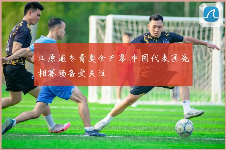 江原道冬青奥会开幕 中国代表团亮相赛场备受关注