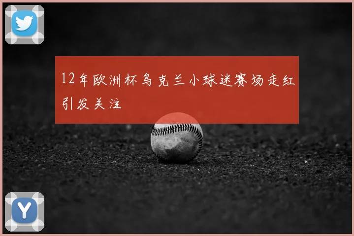 12年欧洲杯乌克兰小球迷赛场走红引发关注