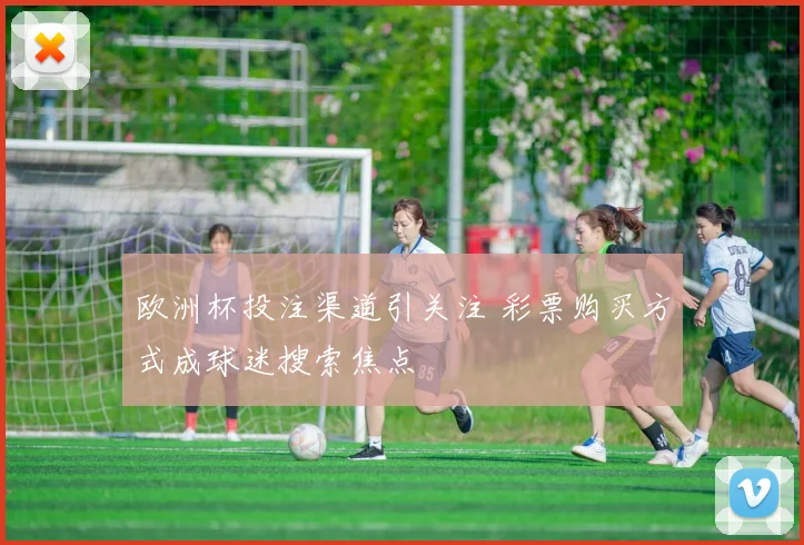 欧洲杯投注渠道引关注 彩票购买方式成球迷搜索焦点