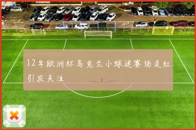 12年欧洲杯乌克兰小球迷赛场走红引发关注